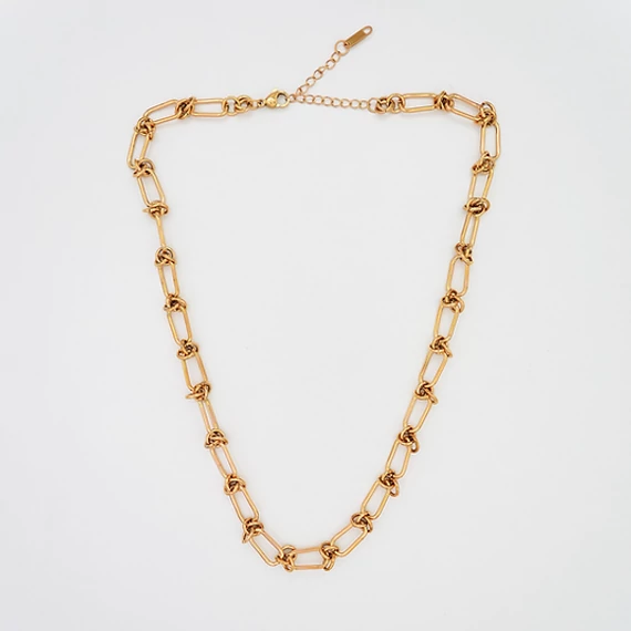 immaculati doggie golden necklace 3