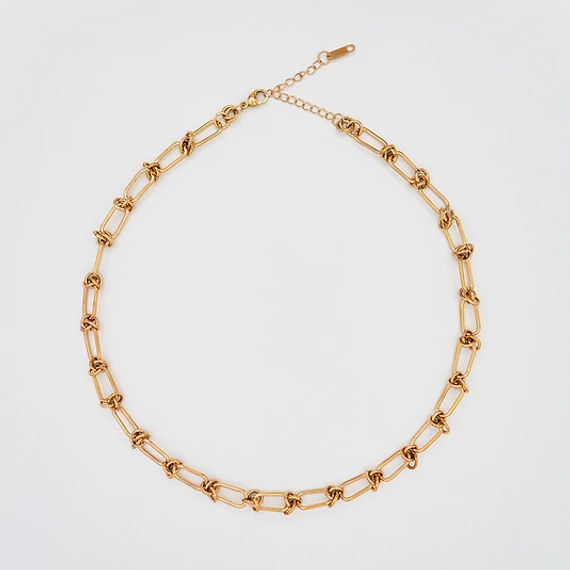 immaculati doggie golden necklace 4