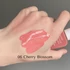 Bild 3/4 - House of Hur Moist Ampoule Blusher - Cherry Blossom - Flüssiges Rouge 20ml